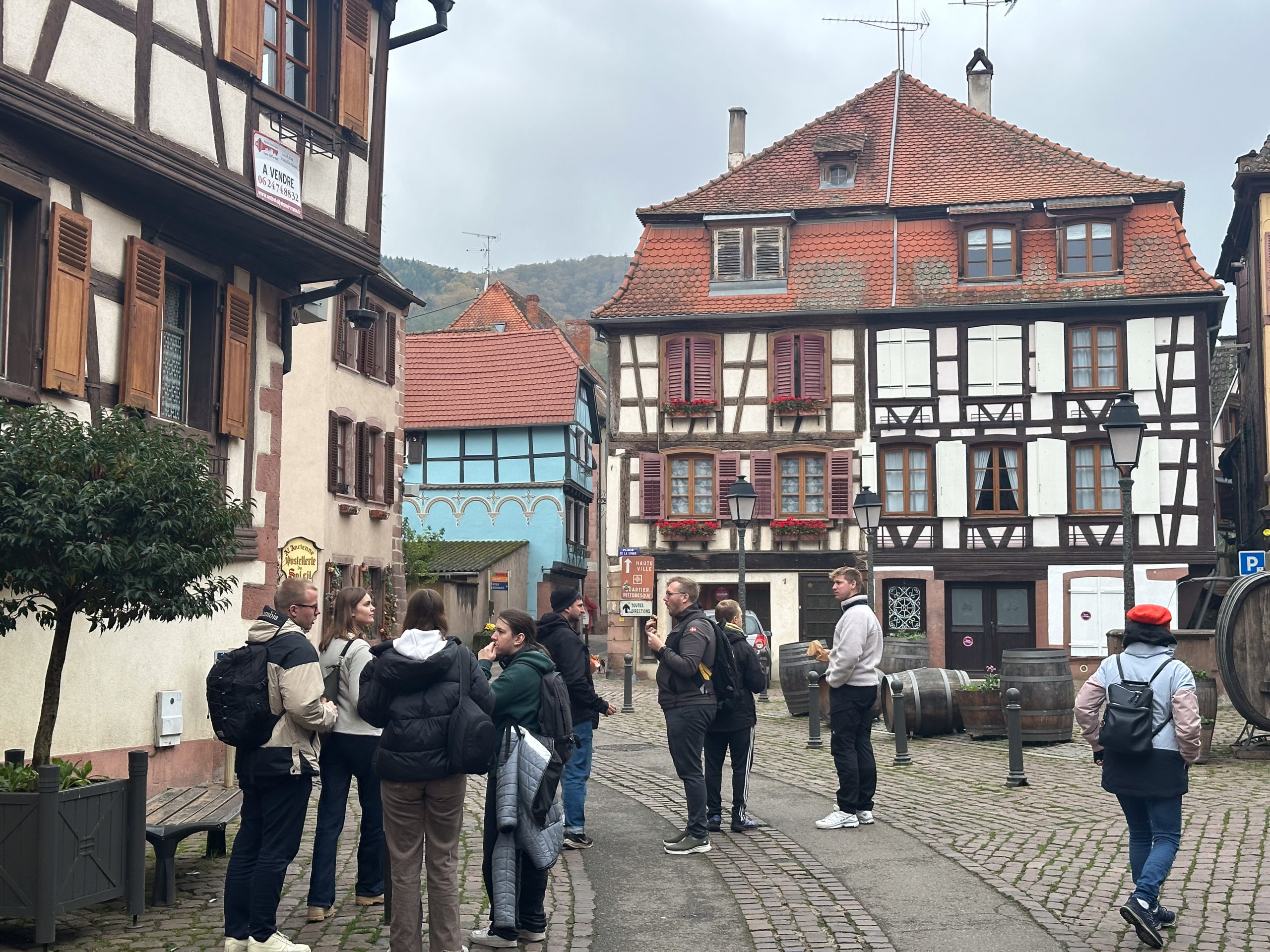 SDU and UHA students: working together in Mulhouse